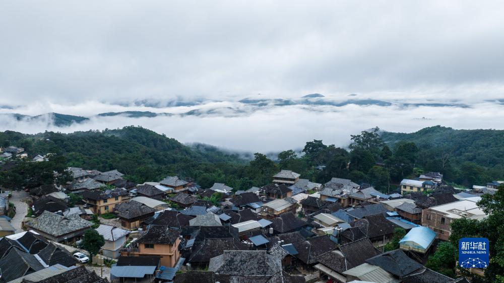 二维码